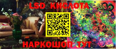 гидра Заводоуковск