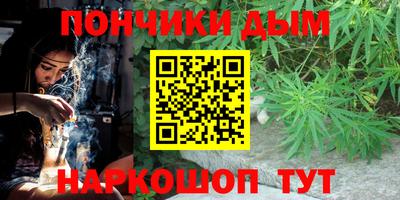 гидра Заводоуковск
