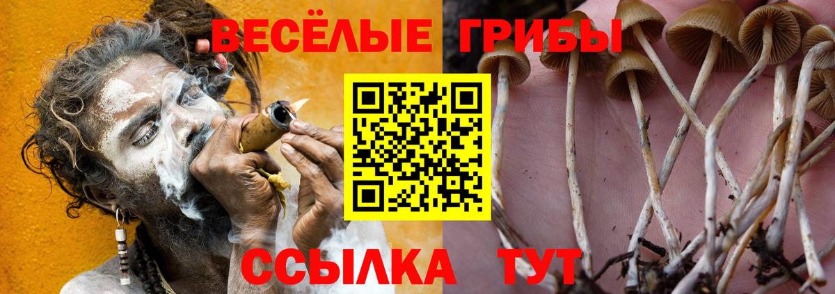 Псилоцибиновые грибы Magic Shrooms  Галлюциногенные грибы GOLDEN TEACHER  Вход с VPN  Гагарин 